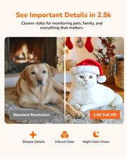 SensForge 2.5K Indoor Pan-Tilt Security Camera, 360° Dual-Band 2.4/5GHz Wi-Fi Camera for Home, Smart AI Human & Pet Detection, 64GB SD Card Included, Two-Way Talk, No Subscription Required (1, White)