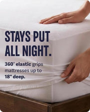 SafeRest Waterproof Queen Size Mattress Protector | Fitted with Stretchable Pockets, Machine Washable, Cotton Blend Mattress Cover for Bed