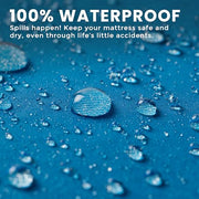 Waterproof Zippered Mattress Protector Queen Size, 12" Deep Pocket