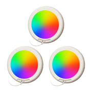 Rechargeable Ceiling Light With Remote