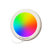 Rechargeable Ceiling Light With Remote